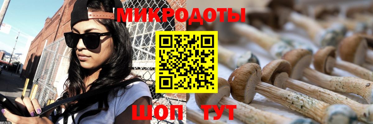Кореновск  Галлюциногенные грибы Psilocybe  Вход с VPN 